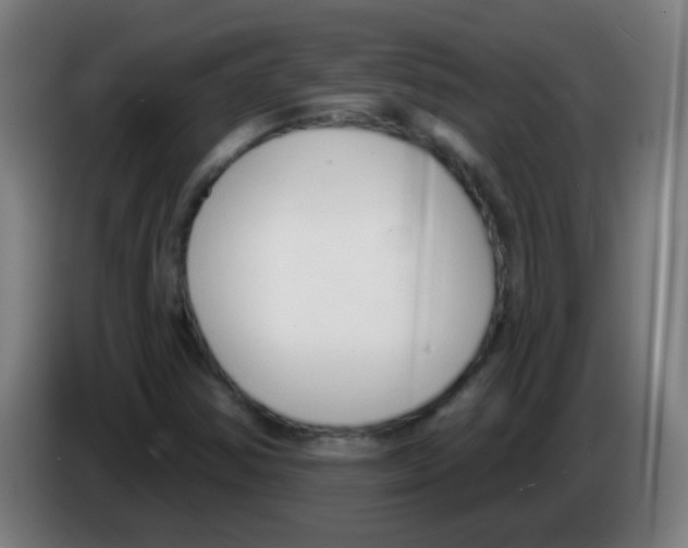 X0000086251354200704261928