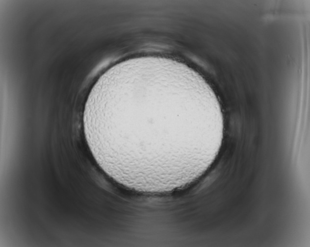 X0000086251355200704261927