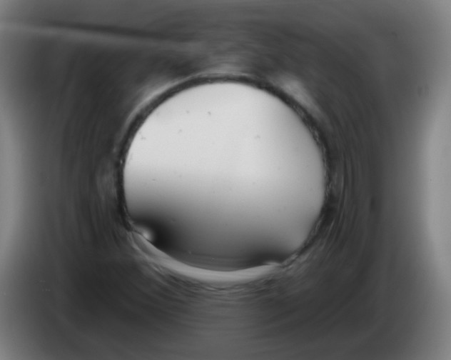 X0000086251356200704261927