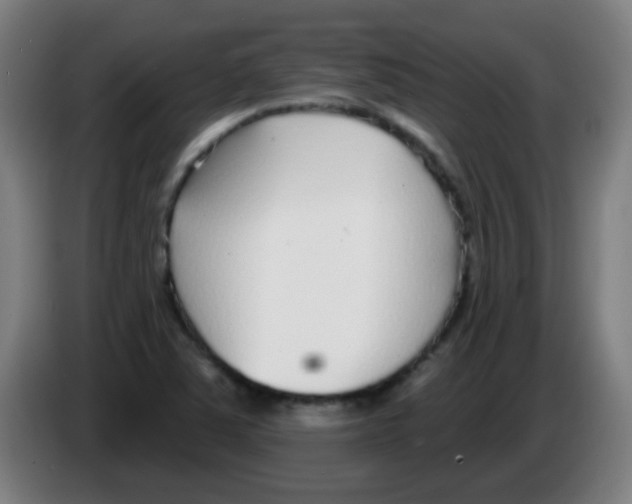 X0000086251363200704261927