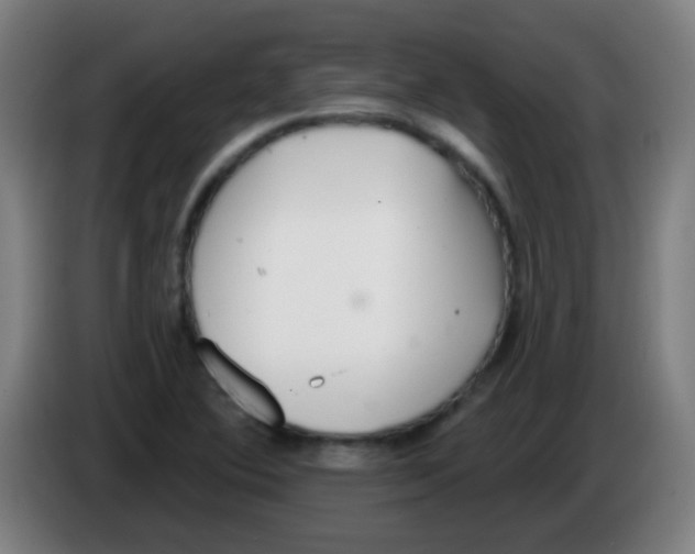 X0000086251364200704261927