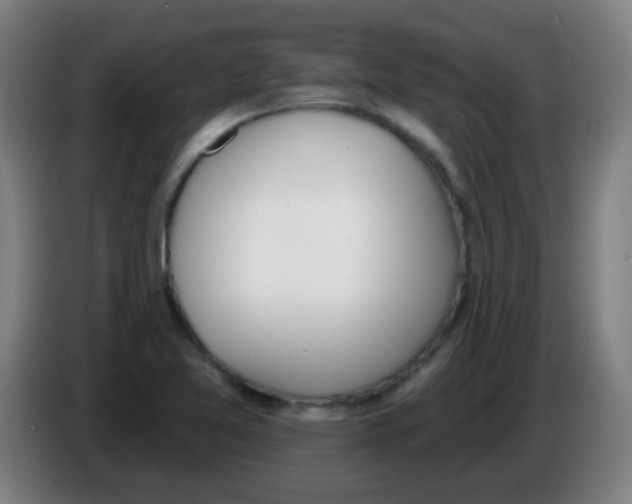 X0000086251365200704261927