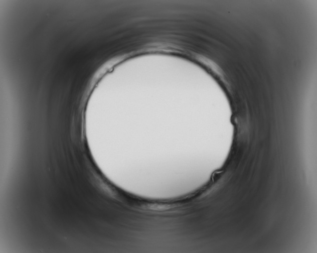 X0000086251371200704261927