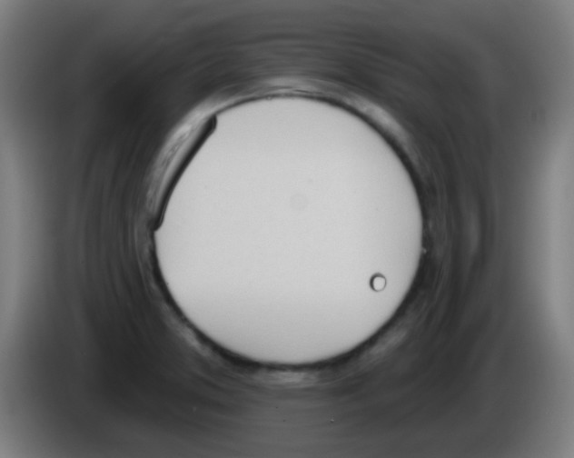 X0000086251373200704261927
