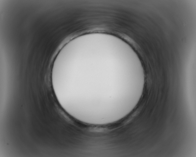 X0000086251374200704261927