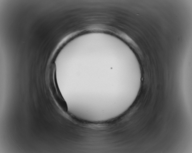 X0000086251376200704261927