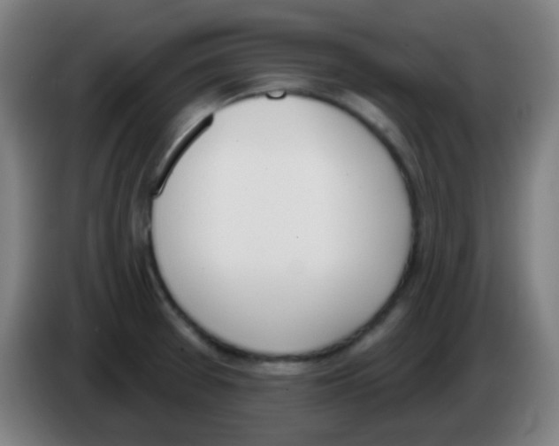 X0000086251377200704261927