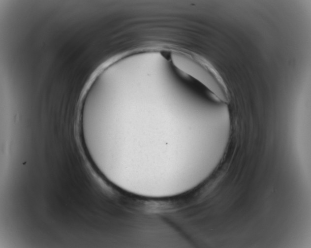 X0000086251379200704261927