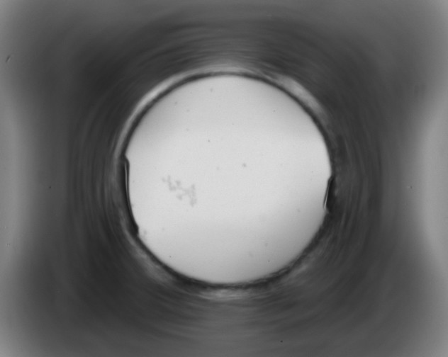 X0000086251380200704261927