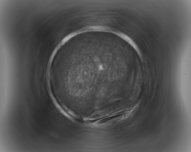 X0000086251381200704261927
