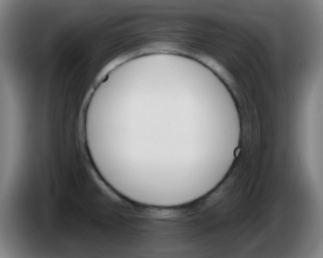 X0000086251382200704261927