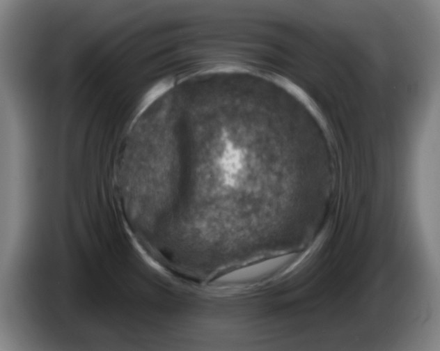 X0000086251385200704261927