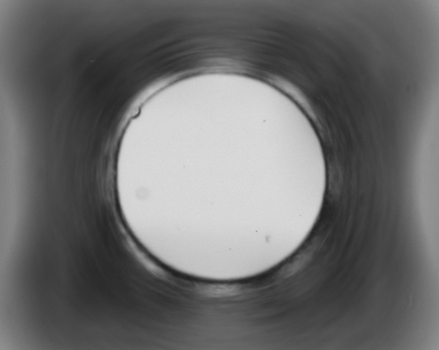 X0000086251387200704261927