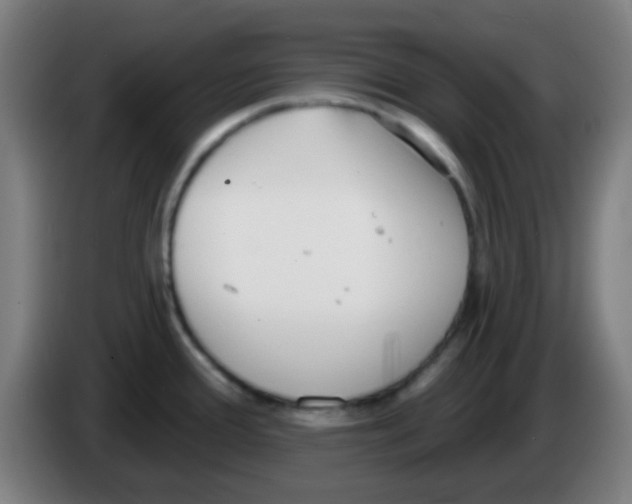 X0000086251388200704261927