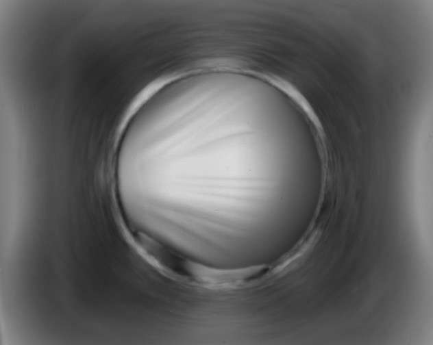 X0000086251389200704261927