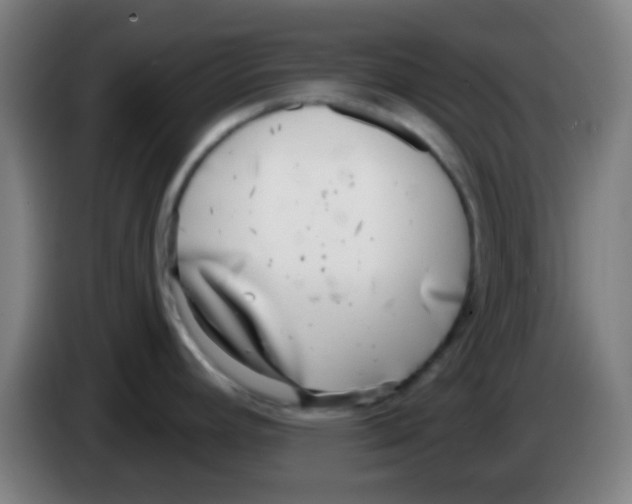 X0000086251392200704261927