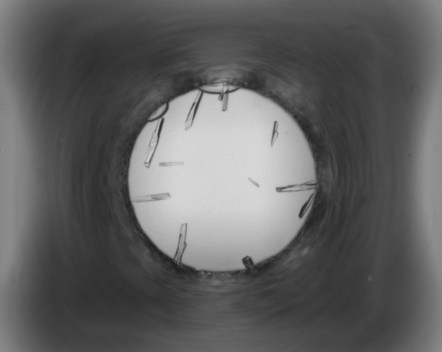 X0000086251393200704261926
