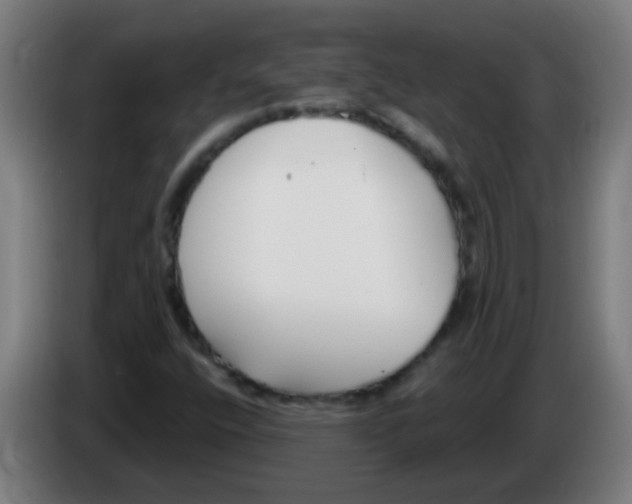 X0000086251400200704261926