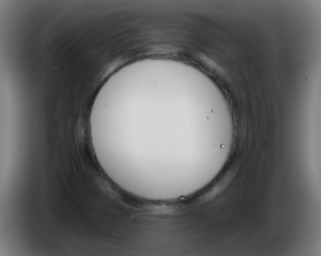 X0000086251401200704261927