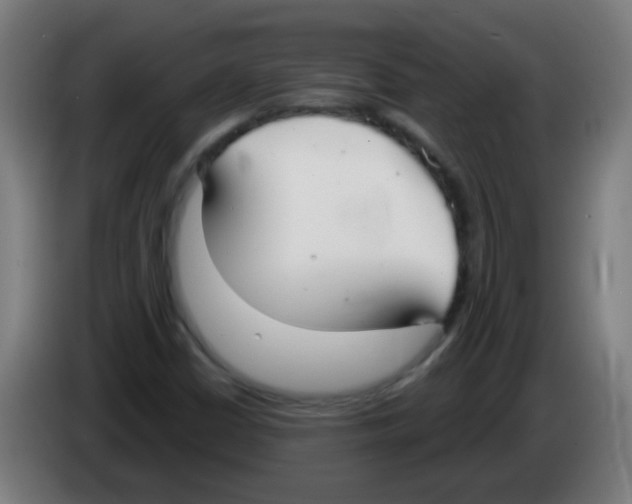 X0000086251402200704261927