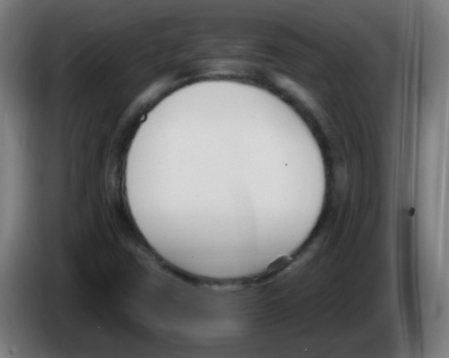 X0000086251403200704261927