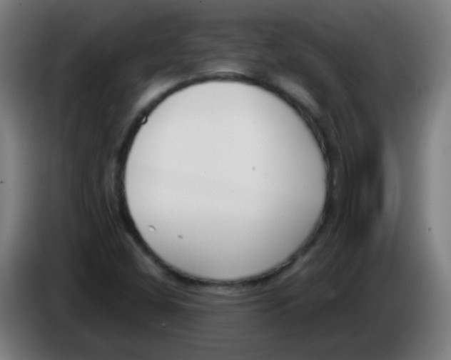 X0000086251404200704261927