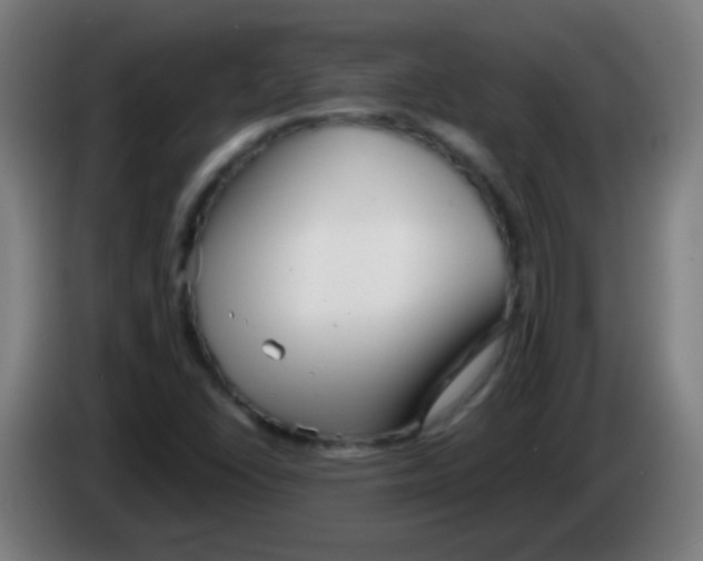 X0000086251406200704261927