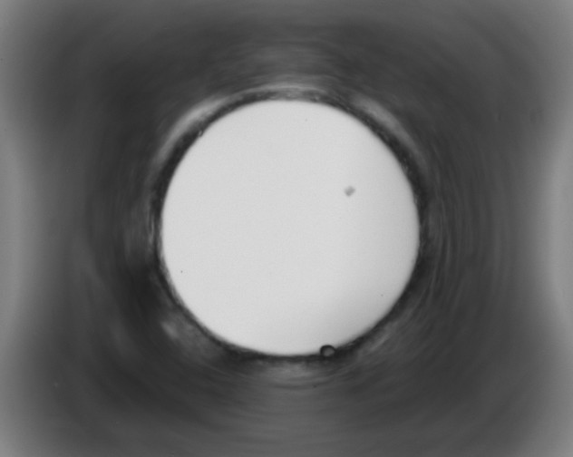 X0000086251408200704261927
