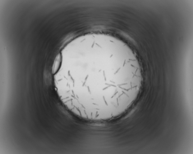 X0000086251409200704261927