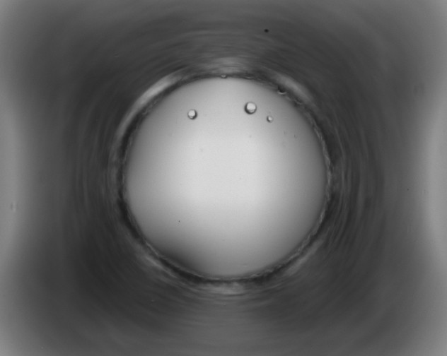 X0000086251410200704261927