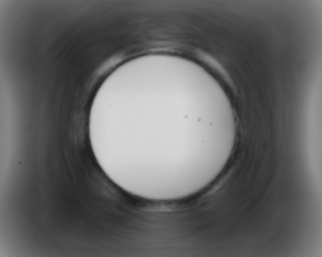X0000086251411200704261927