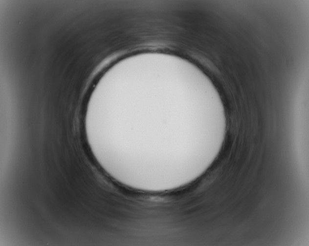 X0000086251412200704261927