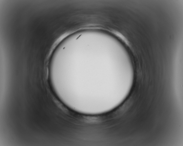 X0000086251413200704261927
