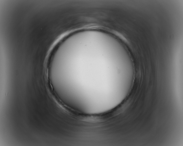 X0000086251414200704261927