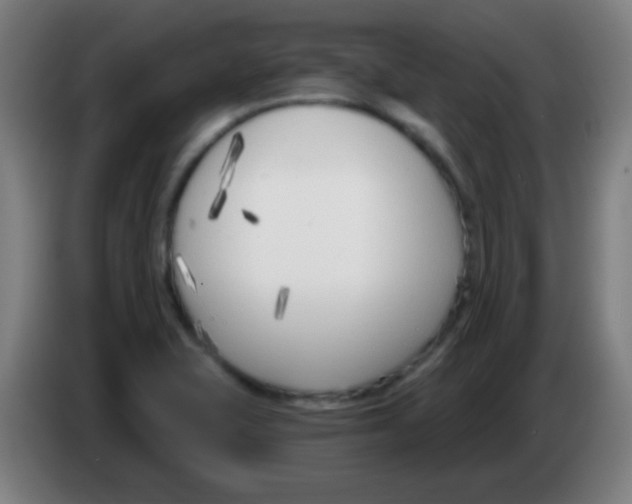X0000086251415200704261927