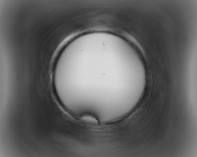 X0000086251416200704261927