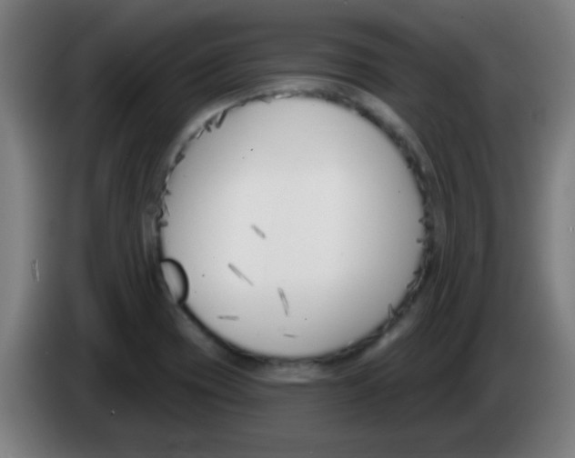 X0000086251417200704261927