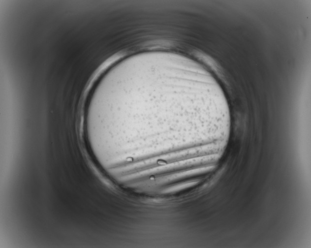 X0000086251418200704261927