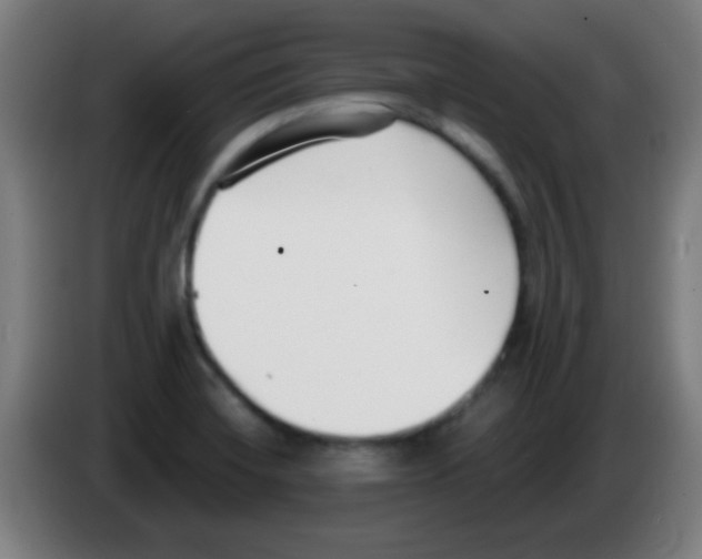 X0000086251420200704261927