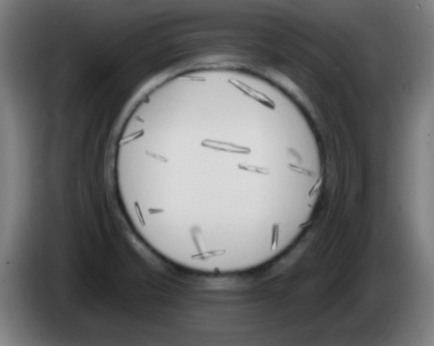 X0000086251421200704261927