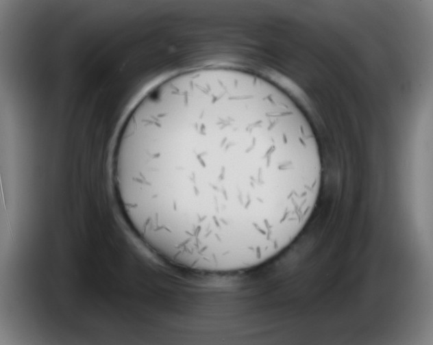X0000086251423200704261927