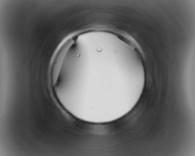 X0000086251424200704261927