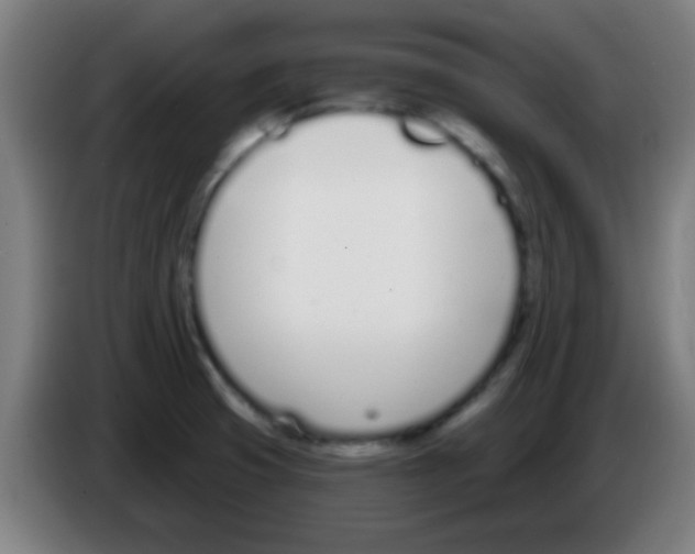 X0000086251425200704261927