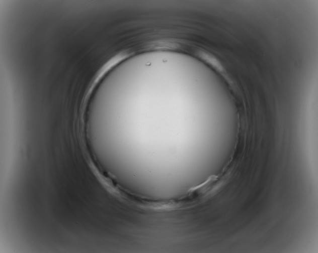 X0000086251426200704261927