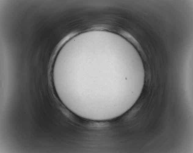 X0000086251427200704261927