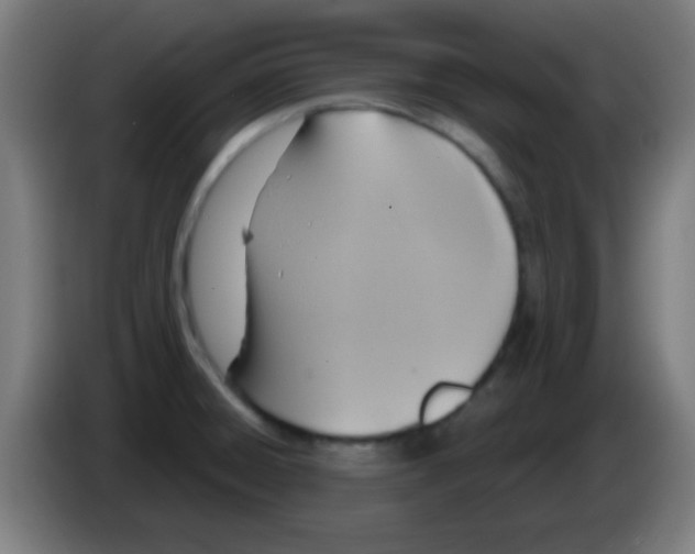 X0000086251428200704261927