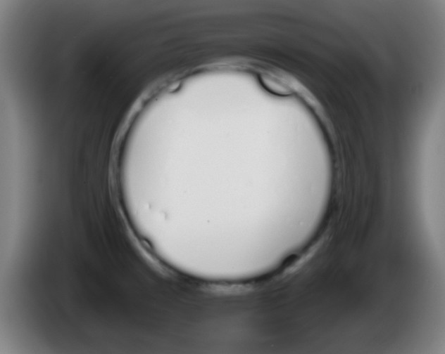 X0000086251429200704261927
