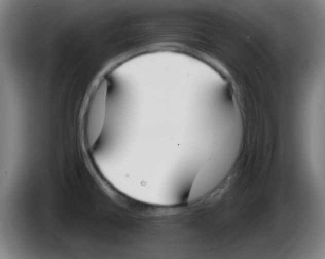 X0000086251430200704261927