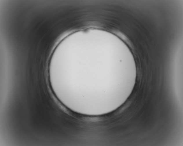 X0000086251431200704261927