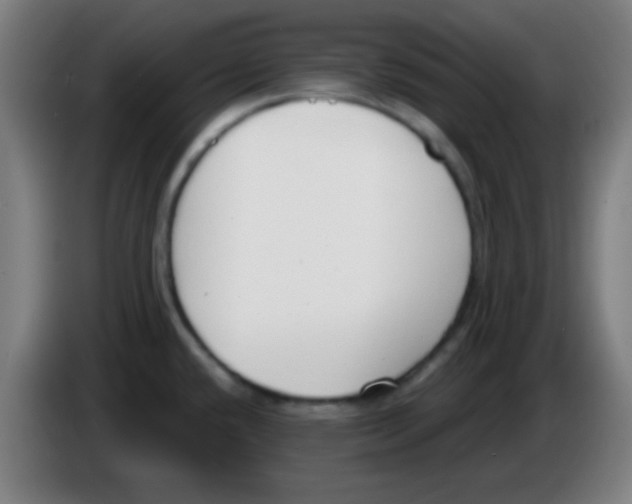 X0000086251432200704261927